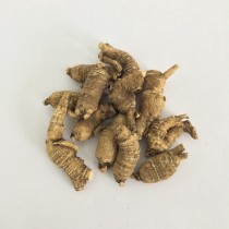 樹林參 (大）(每兩)